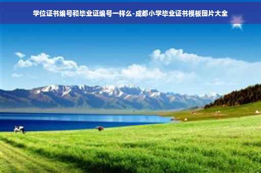 学位证书编号和毕业证编号一样么-成都小学毕业证书模板图片大全