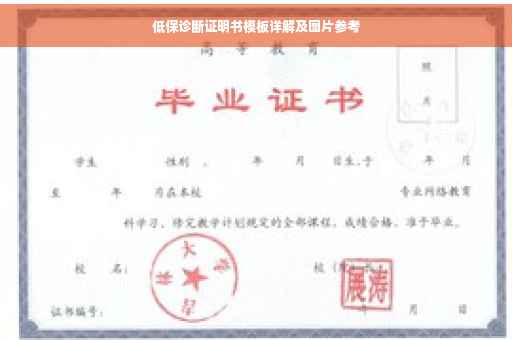 低保诊断证明书模板详解及图片参考