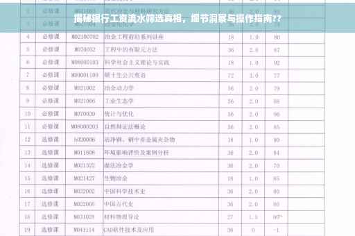 揭秘银行工资流水筛选真相，细节洞察与操作指南??