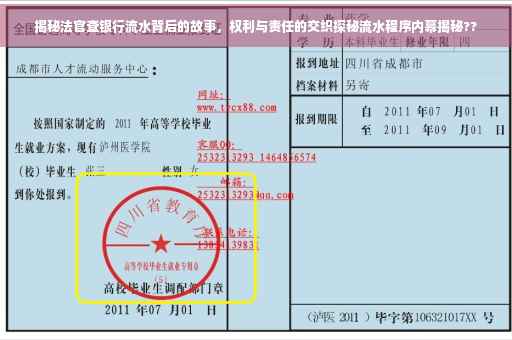 揭秘法官查银行流水背后的故事，权利与责任的交织探秘流水程序内幕揭秘??