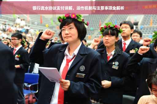 银行流水协议支付详解，运作机制与注意事项全解析