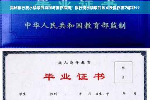揭秘银行流水续取的真相与操作指南，银行流水续取的含义及操作技巧解析??