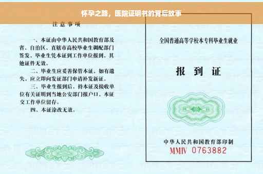 怀孕之路，医院证明书的背后故事