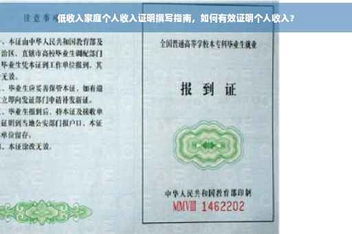 低收入家庭个人收入证明撰写指南，如何有效证明个人收入？