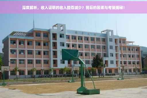 深度解析，收入证明的收入能否减少？背后的因素与考量揭秘！