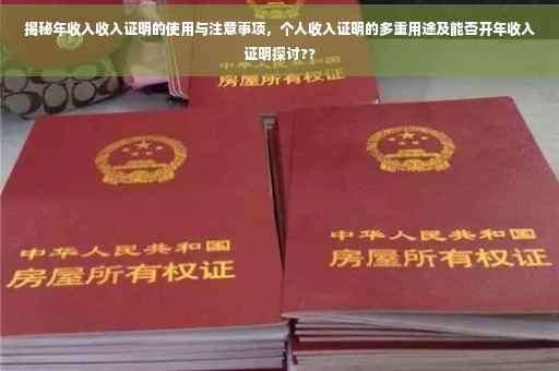 揭秘年收入收入证明的使用与注意事项，个人收入证明的多重用途及能否开年收入证明探讨??