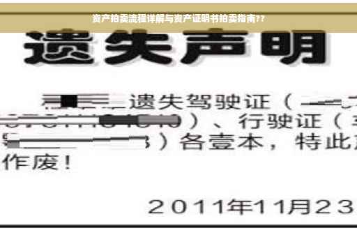 资产拍卖流程详解与资产证明书拍卖指南??