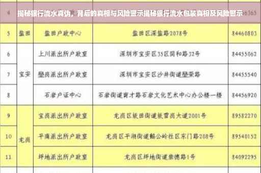 揭秘银行流水真伪，背后的真相与风险警示揭秘银行流水包装真相及风险警示