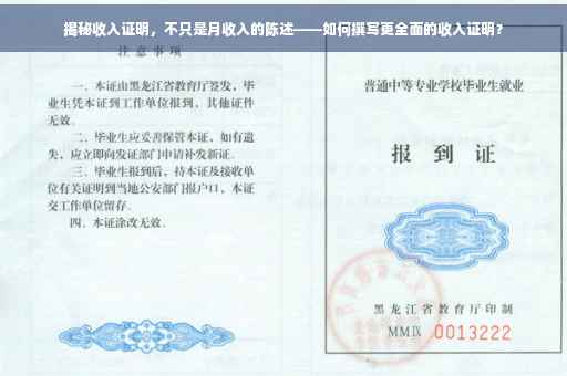 揭秘收入证明，不只是月收入的陈述——如何撰写更全面的收入证明？