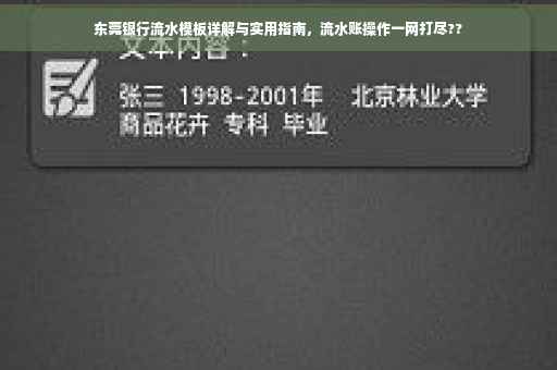 东莞银行流水模板详解与实用指南，流水账操作一网打尽??