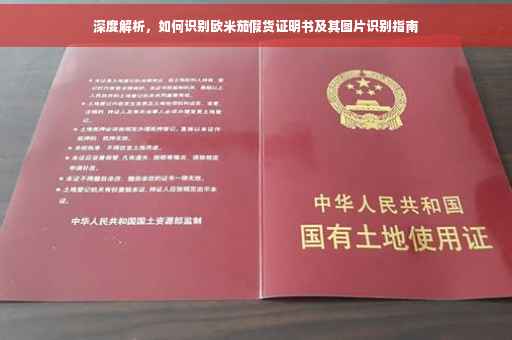深度解析，如何识别欧米茄假货证明书及其图片识别指南