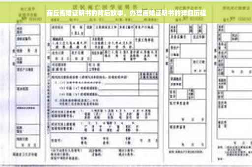 商丘离婚证明书的背后故事，办理离婚证明书的详细历程