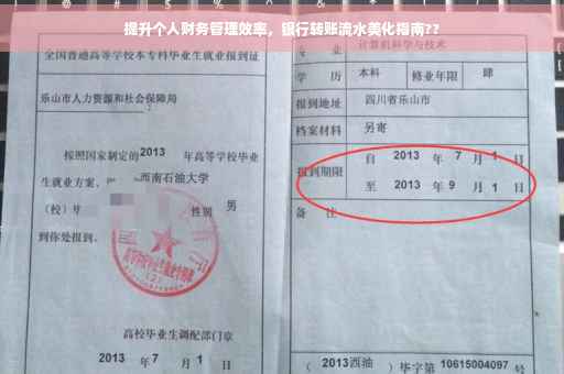 提升个人财务管理效率，银行转账流水美化指南??