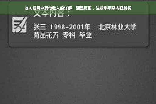 收入证明中其他收入的详解，涵盖范围、注意事项及内容解析