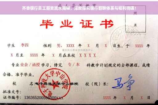 齐鲁银行员工薪资流水揭秘，深度探究银行薪酬体系与福利待遇！