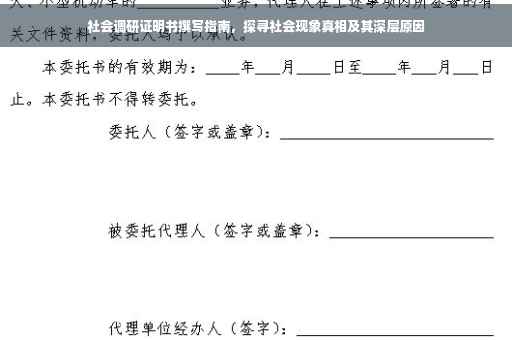 社会调研证明书撰写指南，探寻社会现象真相及其深层原因