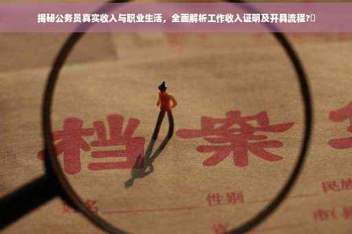 揭秘公务员真实收入与职业生活，全面解析工作收入证明及开具流程?✨