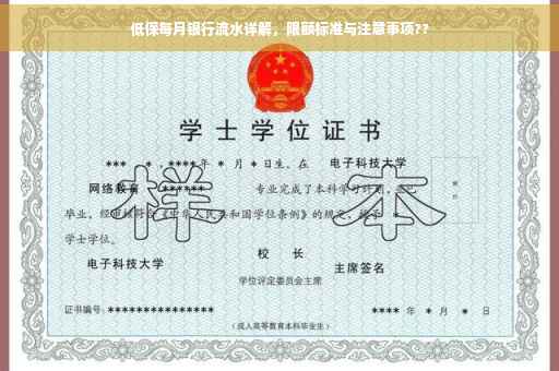低保每月银行流水详解，限额标准与注意事项??
