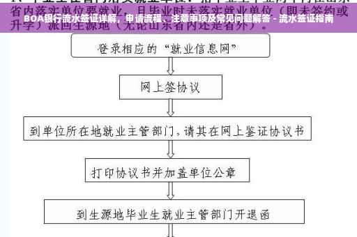 BOA银行流水签证详解，申请流程、注意事项及常见问题解答 - 流水签证指南