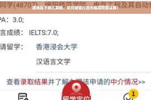 揭秘私下换汇真相，如何查银行流水揭露犯罪证据？