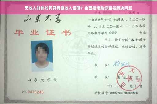无收入群体如何开具低收入证明？全面指南助你轻松解决问题