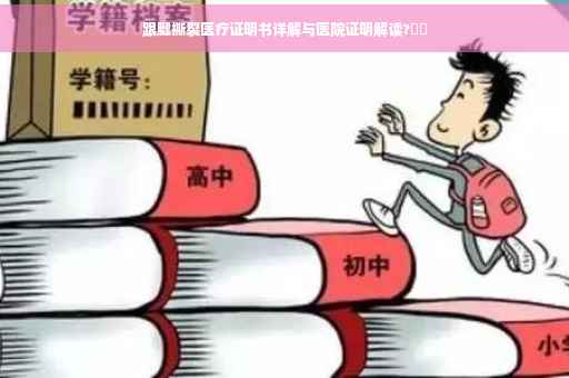 跟腱撕裂医疗证明书详解与医院证明解读?⚡️