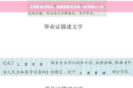 乙肝疫苗证明书，健康保障的关键一环及图片介绍