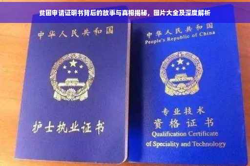 贫困申请证明书背后的故事与真相揭秘，图片大全及深度解析