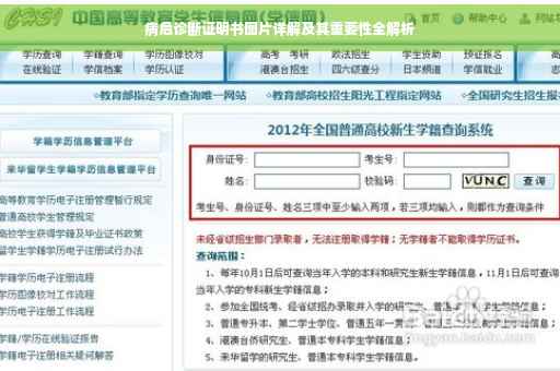 病危诊断证明书图片详解及其重要性全解析