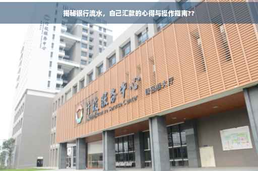 揭秘银行流水，自己汇款的心得与操作指南??