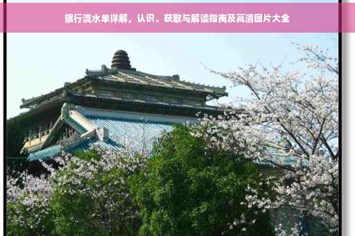 银行流水单详解，认识、获取与解读指南及高清图片大全
