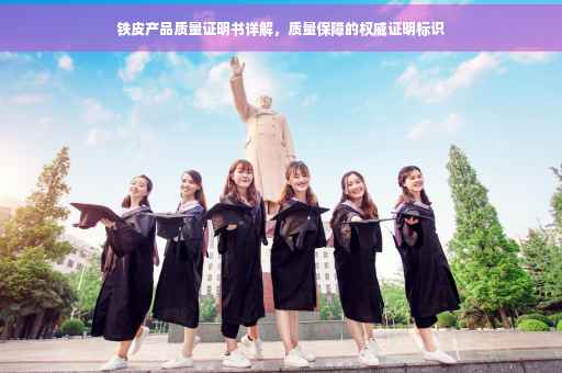 铁皮产品质量证明书详解，质量保障的权威证明标识