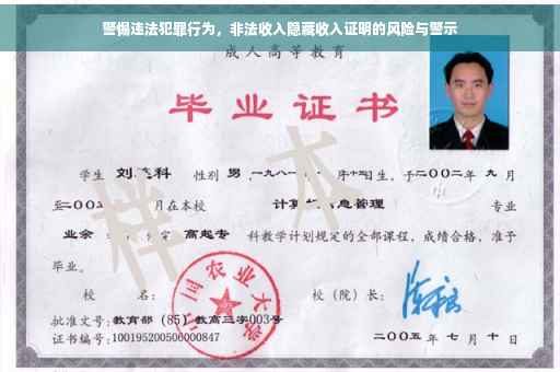 警惕违法犯罪行为，非法收入隐藏收入证明的风险与警示
