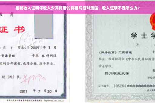 揭秘收入证明年收入少开背后的真相与应对策略，收入证明不足怎么办？