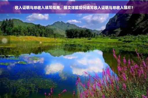 收入证明与总收入填写指南，图文详解如何填写收入证明与总收入图片?