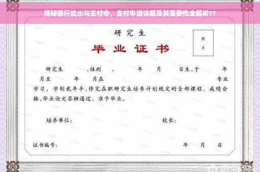 揭秘银行流水与支付令，支付申请详解及其重要性全解析??
