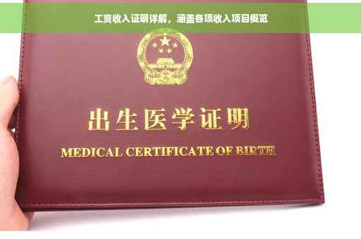工资收入证明详解，涵盖各项收入项目概览