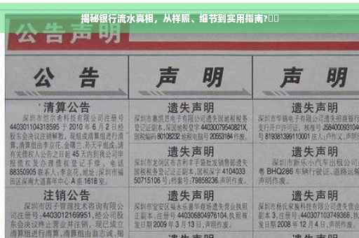 揭秘银行流水真相，从样照、细节到实用指南?⚡️