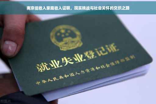 南京低收入家庭收入证明，现实挑战与社会关怀的交织之路