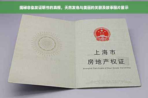 揭秘非染发证明书的真相，天然发色与美丽的关联及故事图片展示