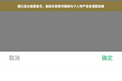 银行流水摘要金币，金融交易细节揭秘与个人财产安全保障攻略