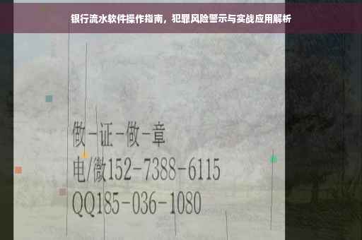 银行流水软件操作指南，犯罪风险警示与实战应用解析