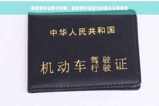 腿骨骨折证明书详解，腿部骨折证明书的要点与重要性