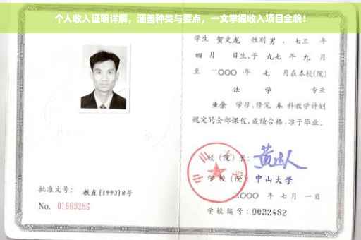 个人收入证明详解，涵盖种类与要点，一文掌握收入项目全貌！