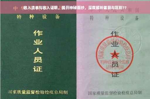 收入清单与收入证明，揭开神秘面纱，深度解析差异与区别??