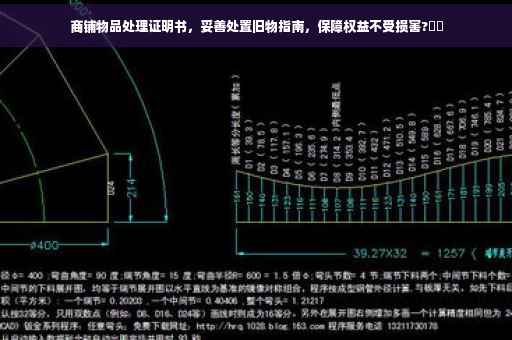 商铺物品处理证明书，妥善处置旧物指南，保障权益不受损害?⚡️
