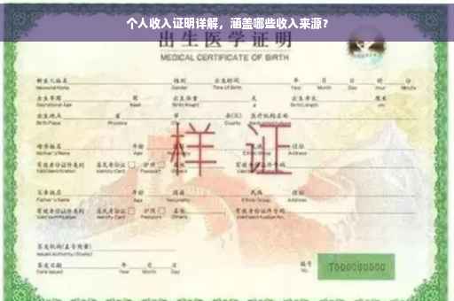 个人收入证明详解，涵盖哪些收入来源？
