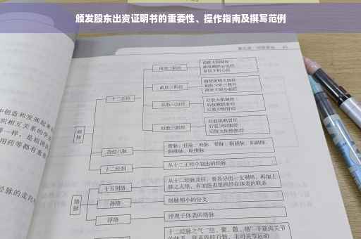 颁发股东出资证明书的重要性、操作指南及撰写范例