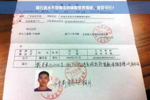 银行流水不带备注的秘密世界揭秘，是否可行？