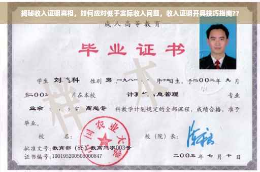 揭秘收入证明真相，如何应对低于实际收入问题，收入证明开具技巧指南??